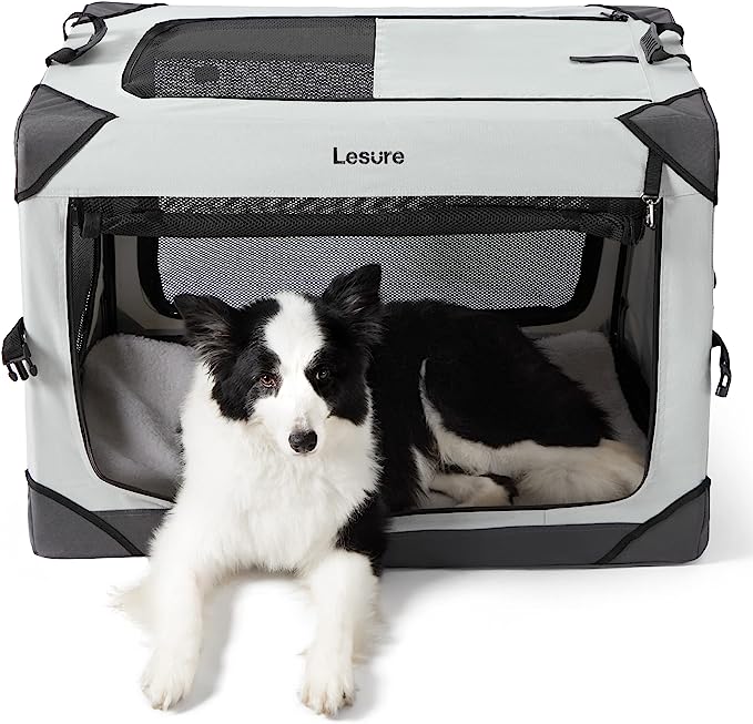 Best dog travel crate