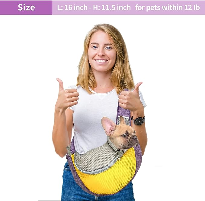 Small dog travel carrier