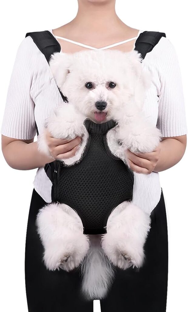 Small dog travel carrier